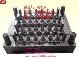 专业供应加工PET瓶坯模具与矿泉水管坯模具，一站式开模解决方案